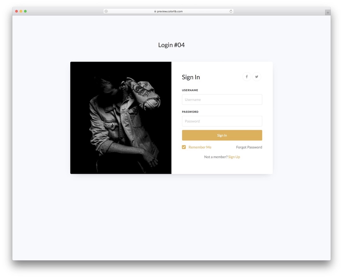 colorlib login form 14